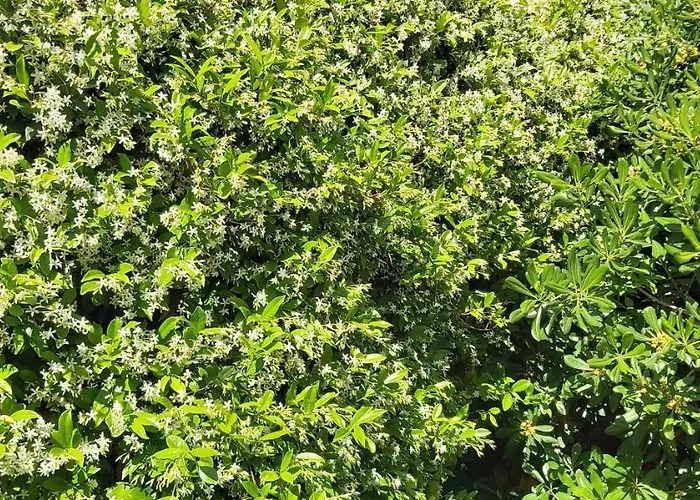 Appartamento Johnny Croatia With Hot Tub *