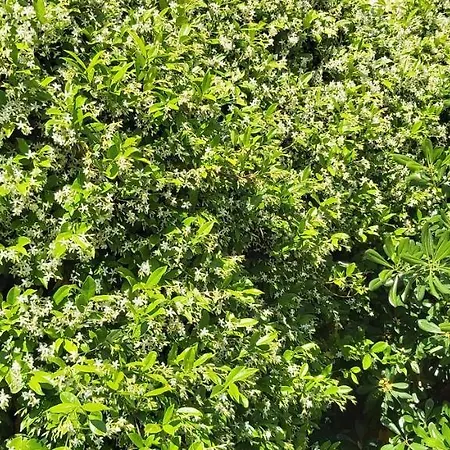 Apartment Johnny Croatia With Hot Tub *